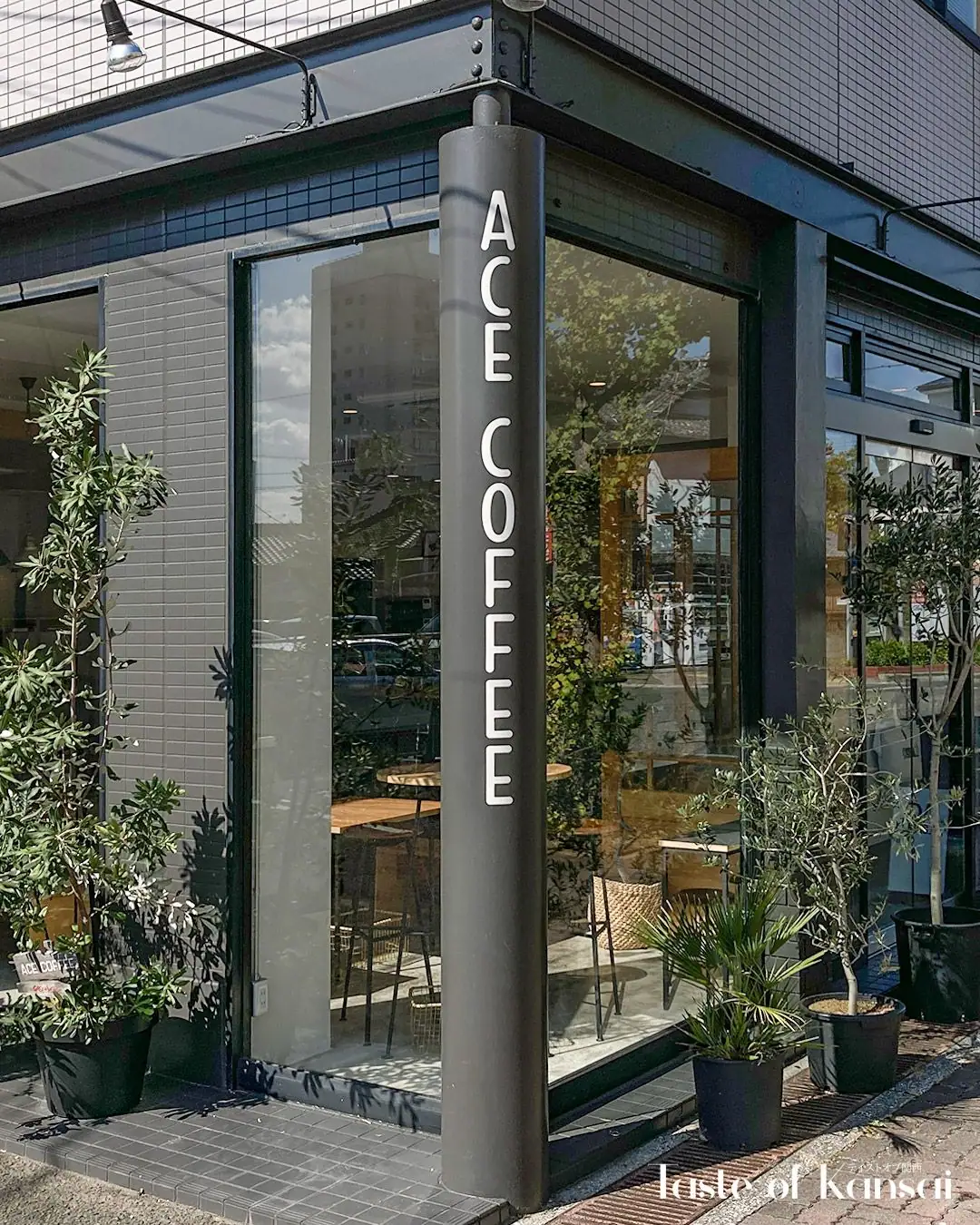 ACE COFFEE (3)