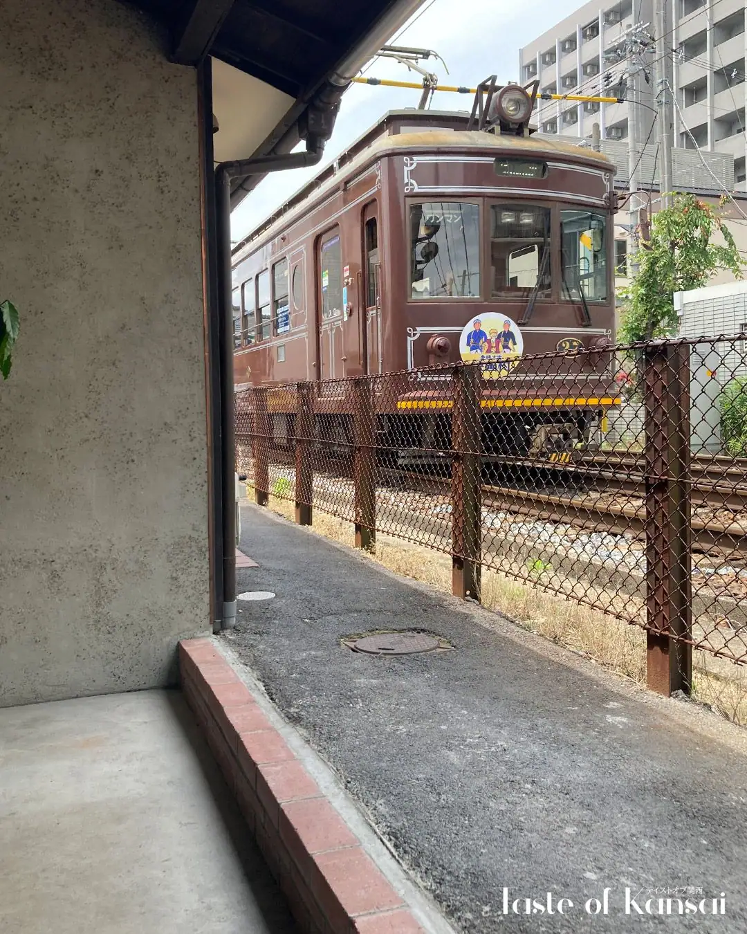 Actual Kyoto (19)