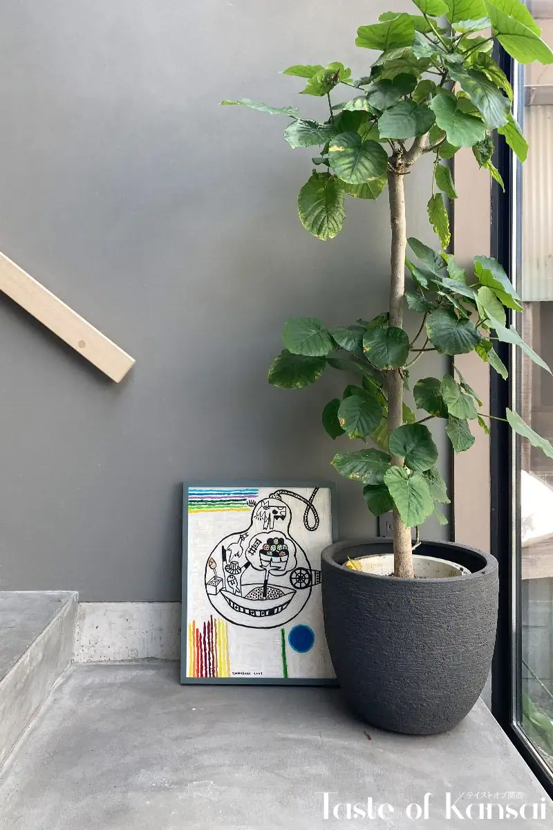& aéré Coffee Roasters (7)