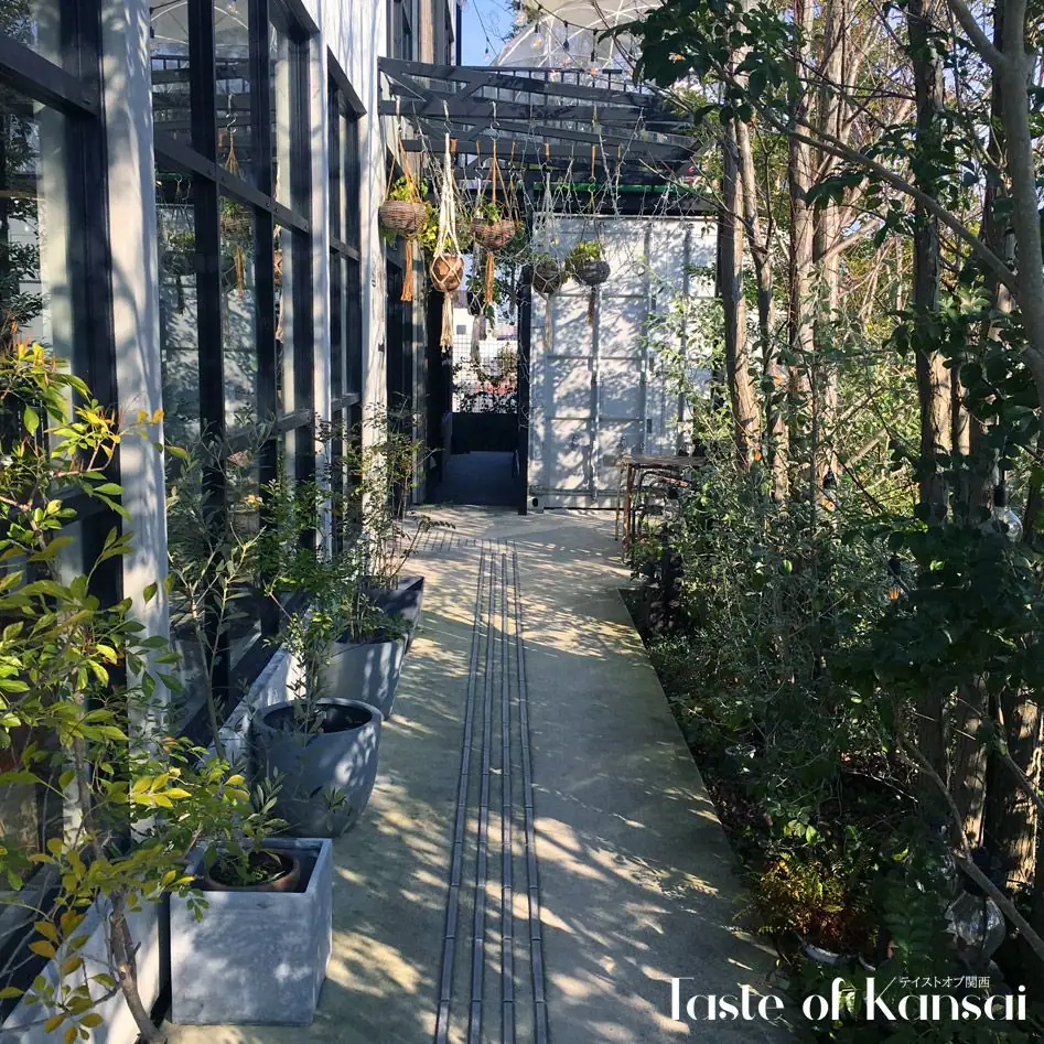 ANTIQUA TREE CAFE (20)
