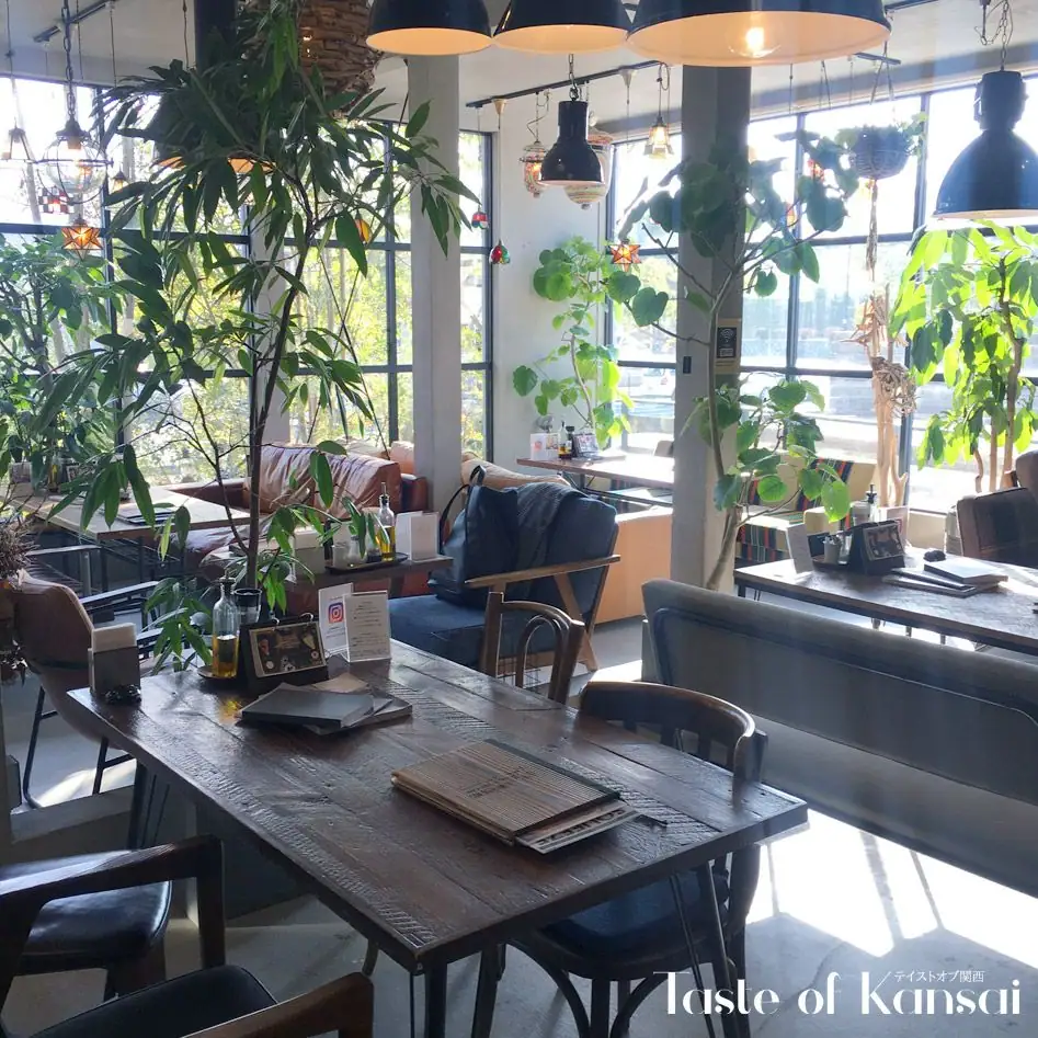 ANTIQUA TREE CAFE (18)