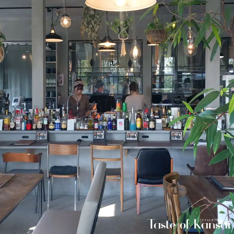 ANTIQUA TREE CAFE (17)