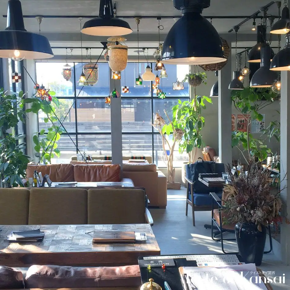 ANTIQUA TREE CAFE (16)