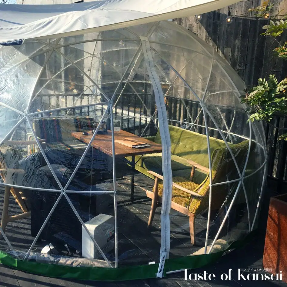 ANTIQUA TREE CAFE (15)