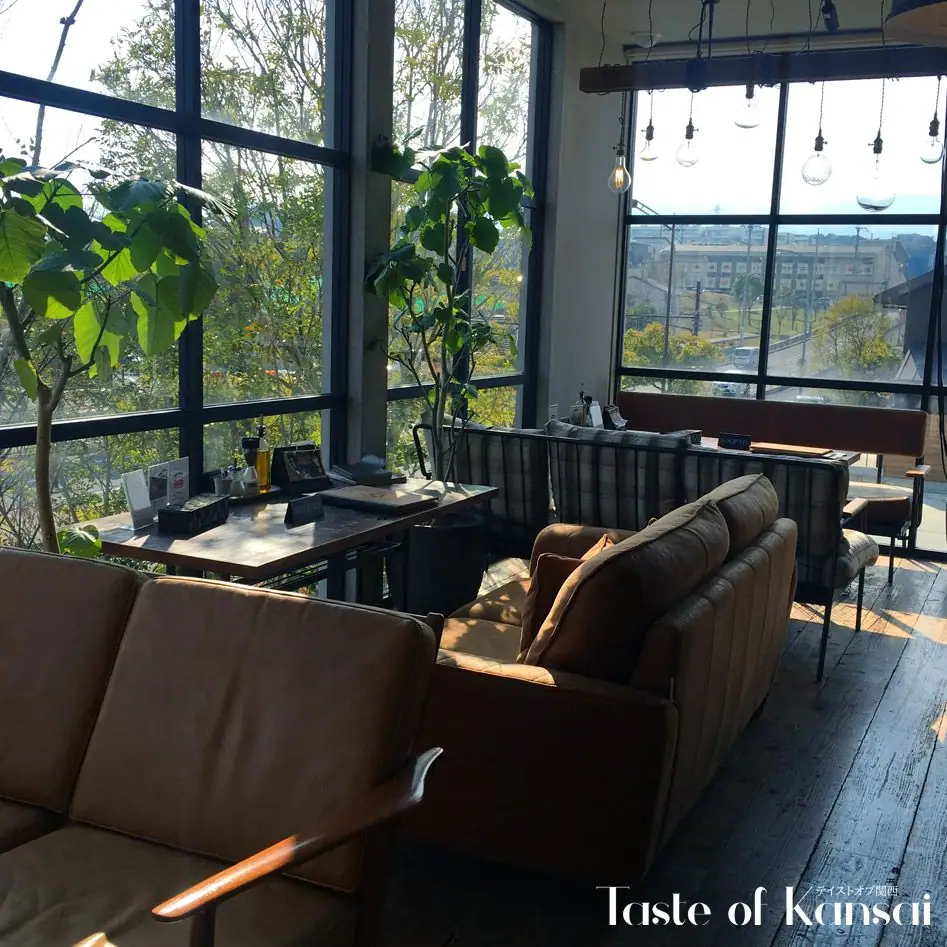 ANTIQUA TREE CAFE (4)