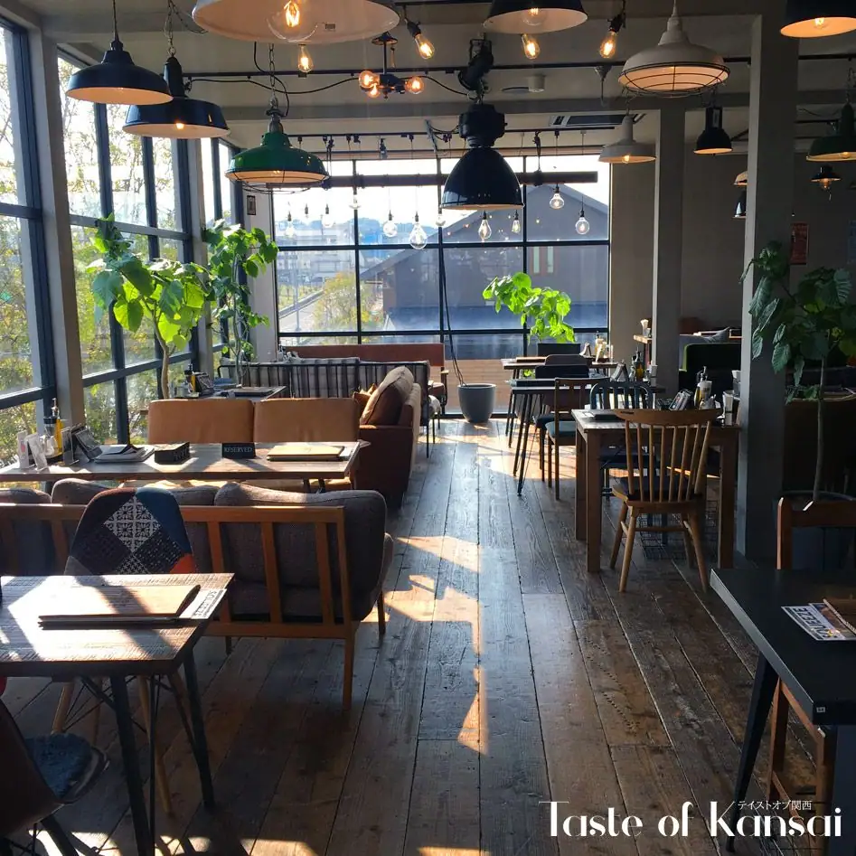 ANTIQUA TREE CAFE (3)