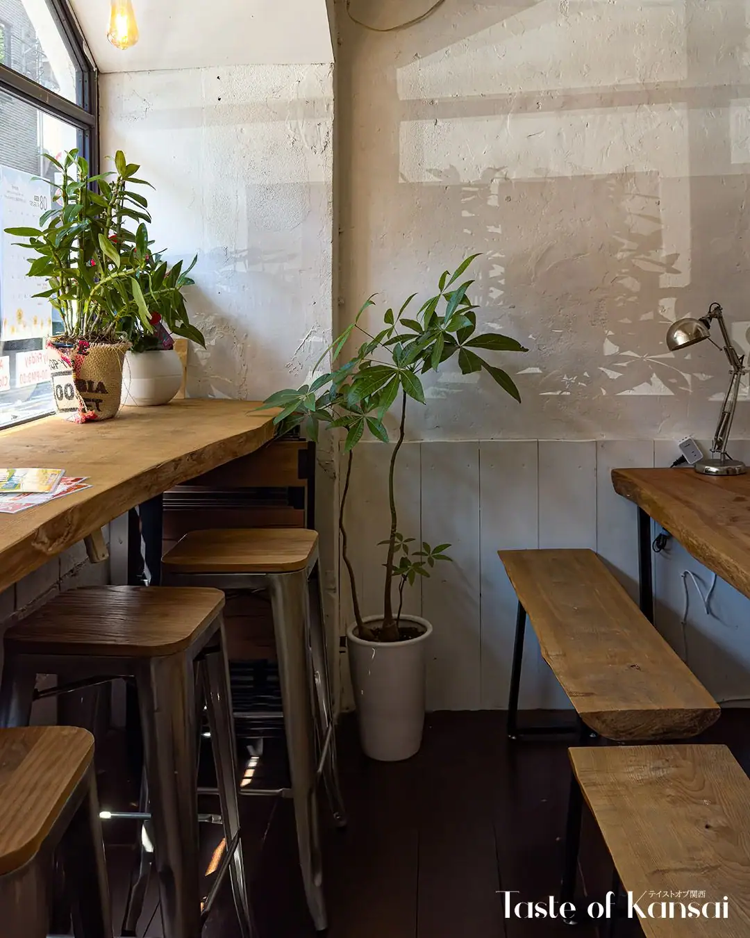 APOLLO – HotDog×Kyoto (5)