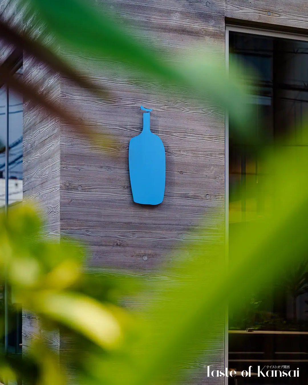 Blue Bottle Coffee Shinsaibashi (8)