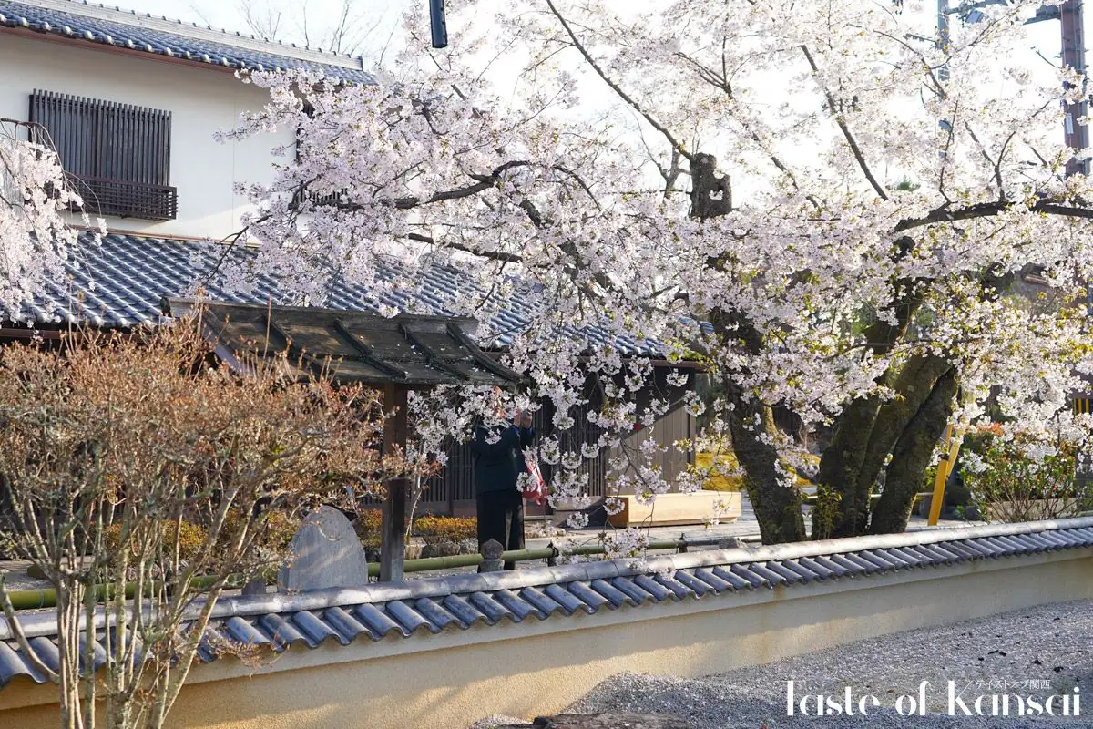 Bread, Espresso and Arashiyama Garden (7)