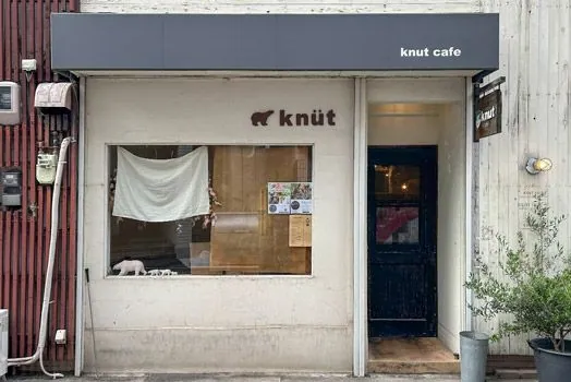 knut cafe