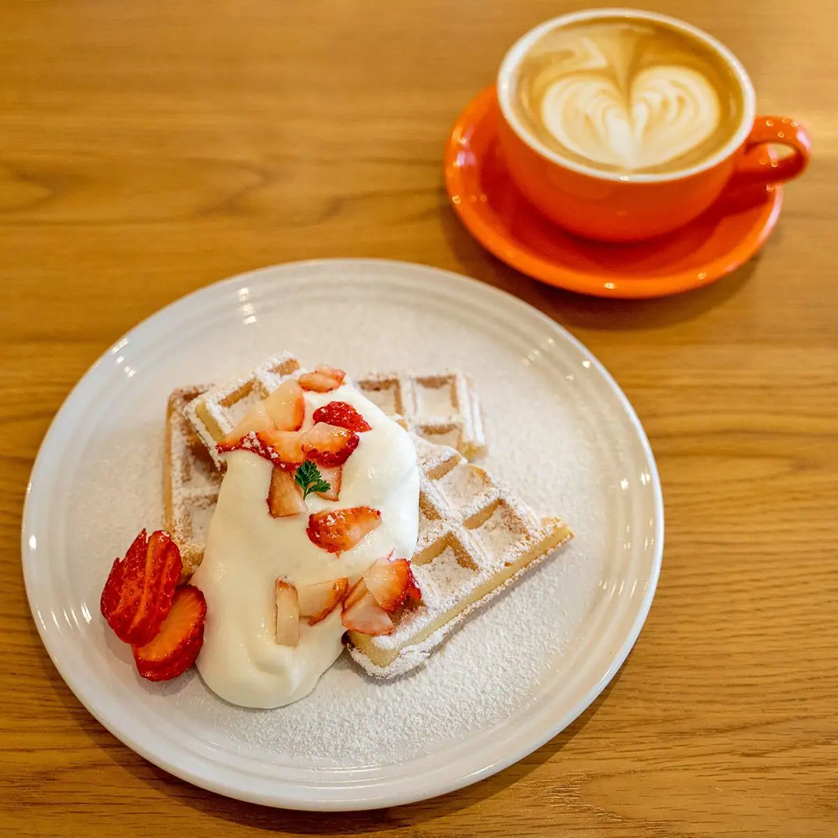 Coffee Halo (16)