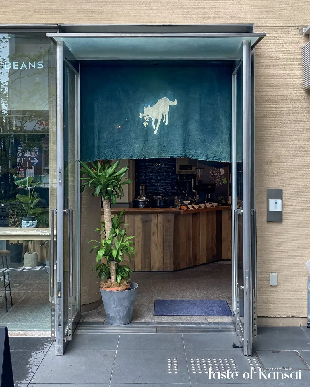 COYOTE the ordinary shop (3)