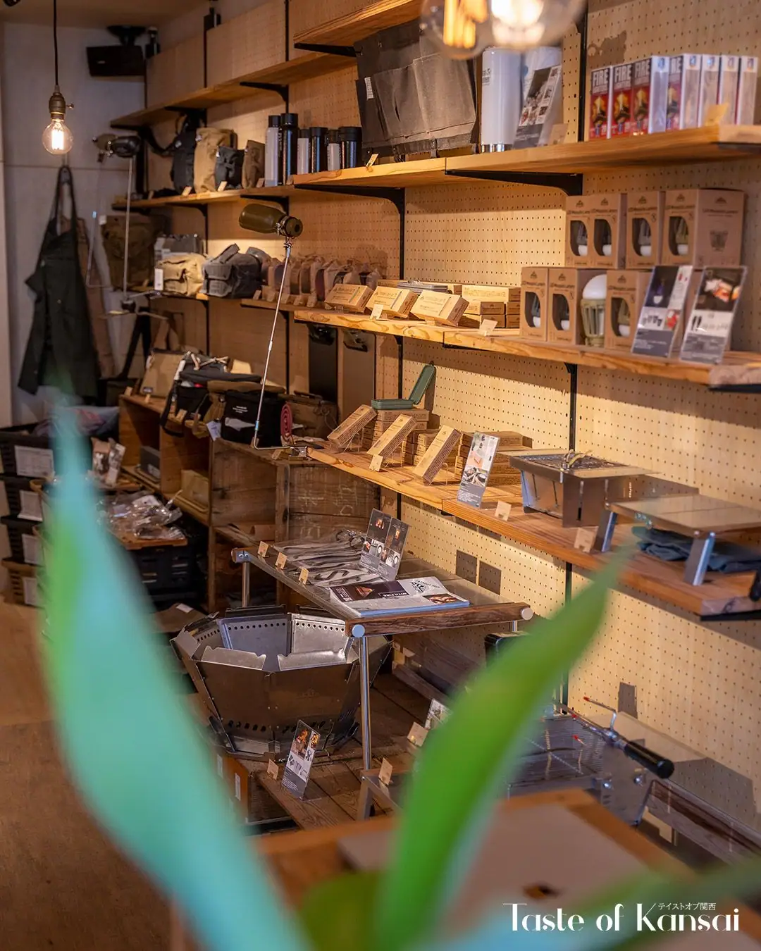 Doors Coffee Roastery (13)