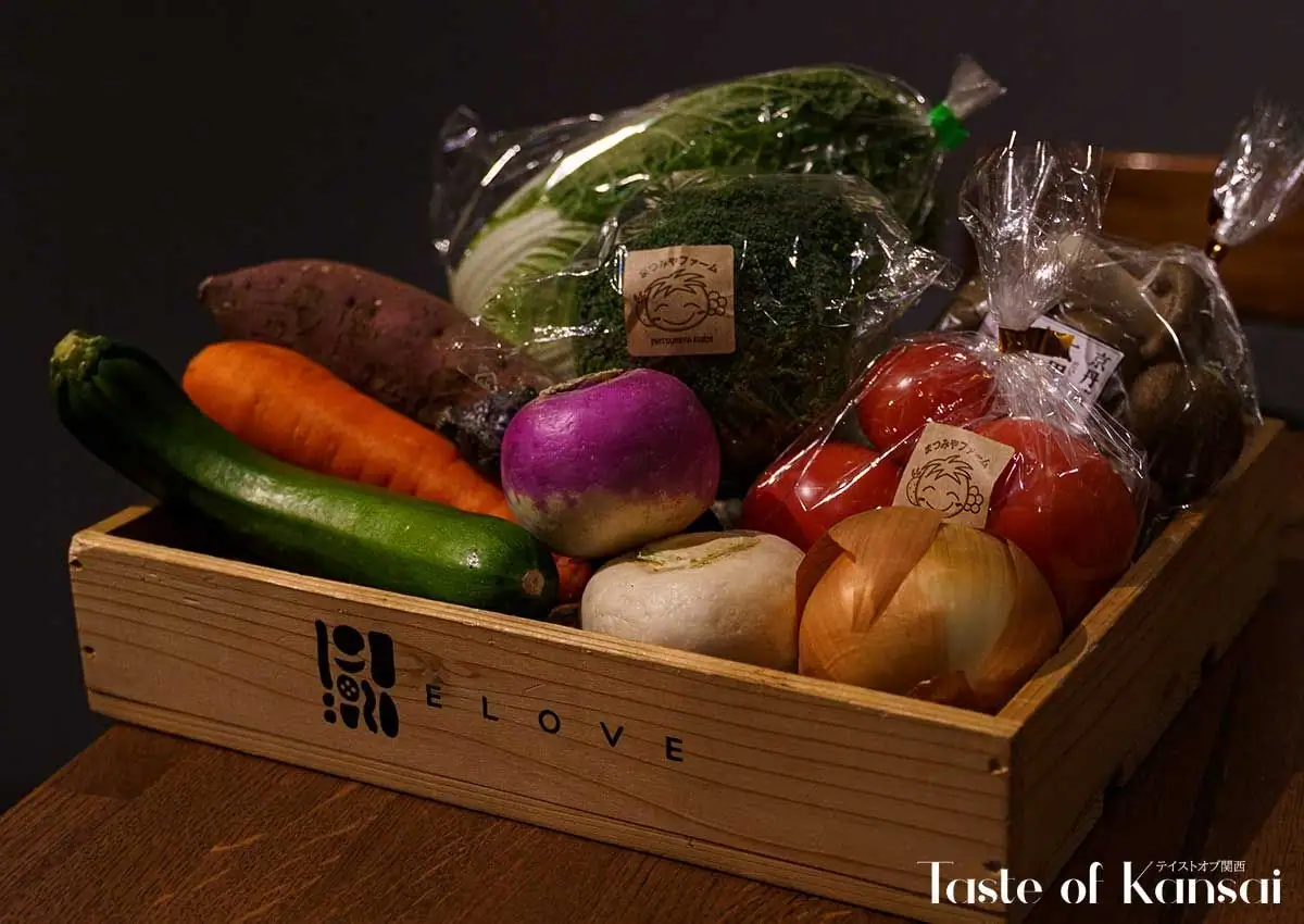 Elove (12)