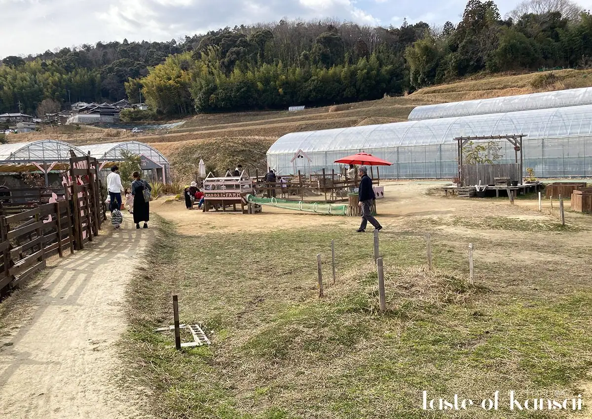 Farmer’s Kitchen (18)
