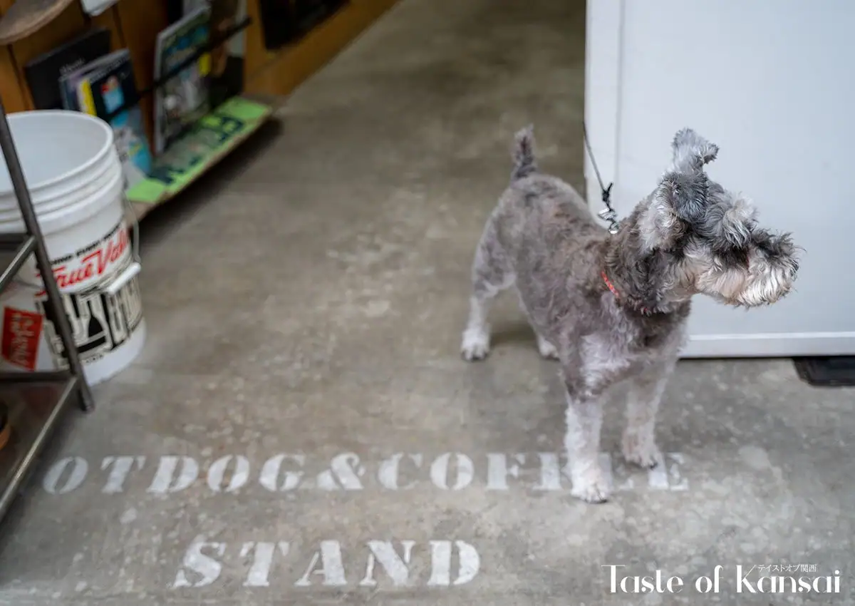 FAT DOG STAND (6)