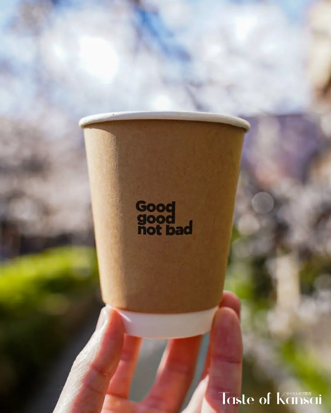 Good Good Not Bad Kyoto (3)