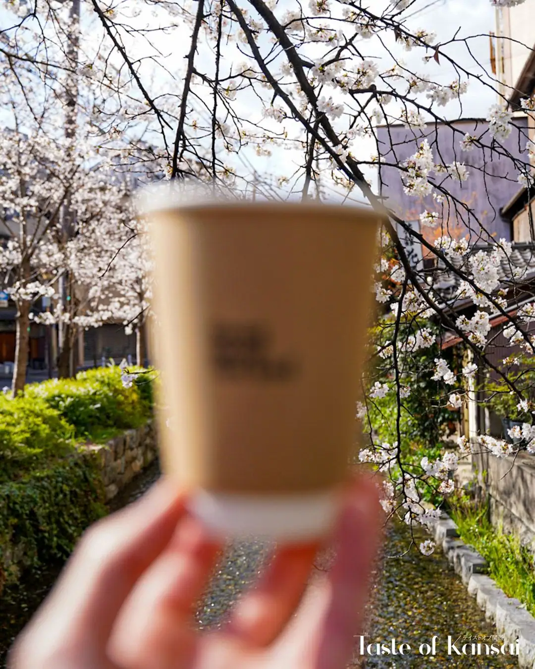 Good Good Not Bad Kyoto (2)