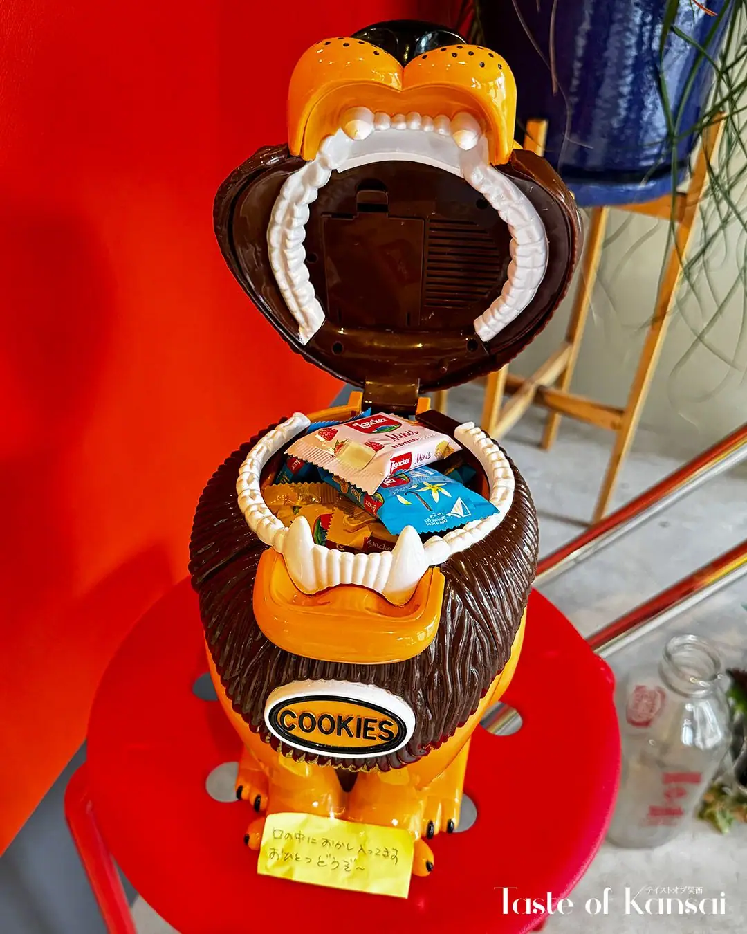 Honey Bunny (4)