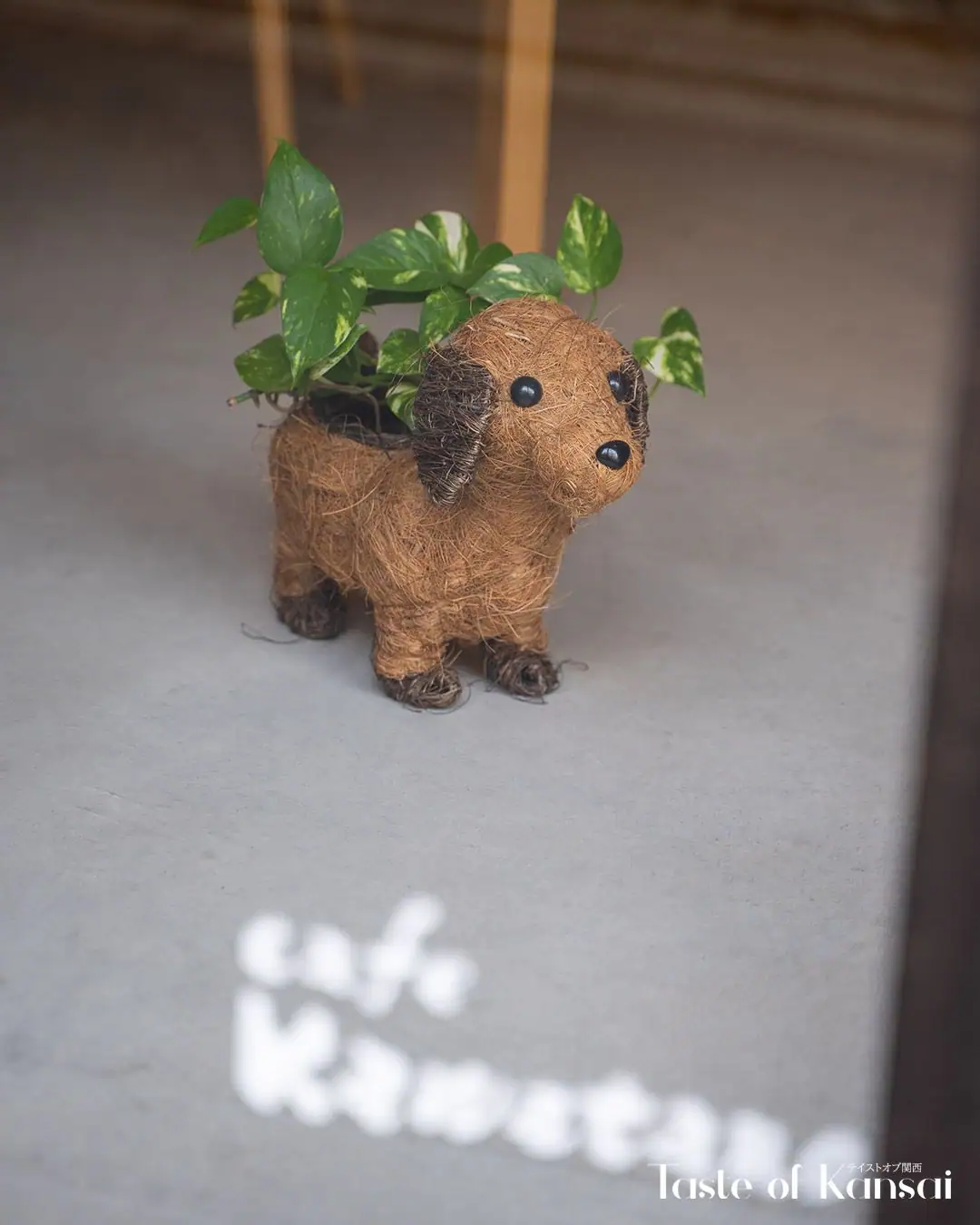 Cafe Kawataro (11)