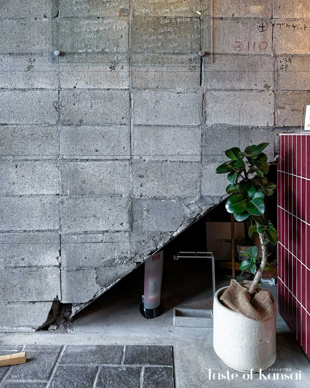 Little barklyの写真（2/7）