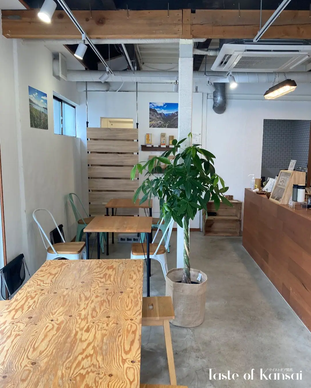 Manaia Coffee & Things (5)