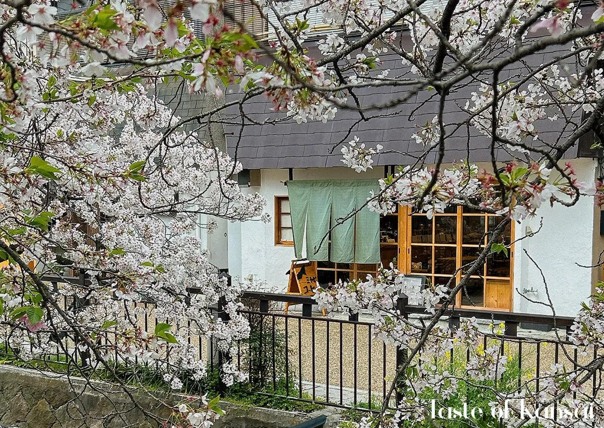 Miyabi Coffee Roastery (7)