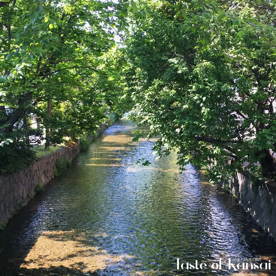 Murmur coffee Kyoto (9)