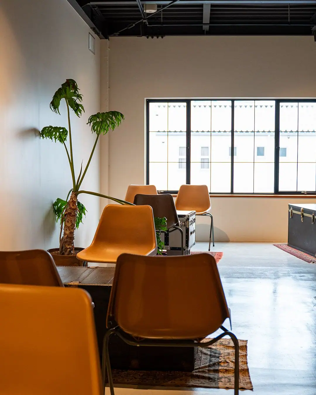 NITO Coffee&Craft Beer CHIKKO (20)