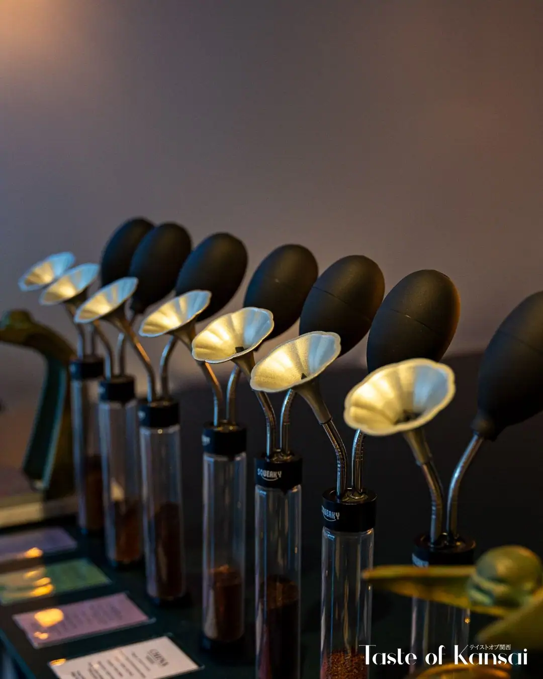 Perche Coffee Roasters (9)