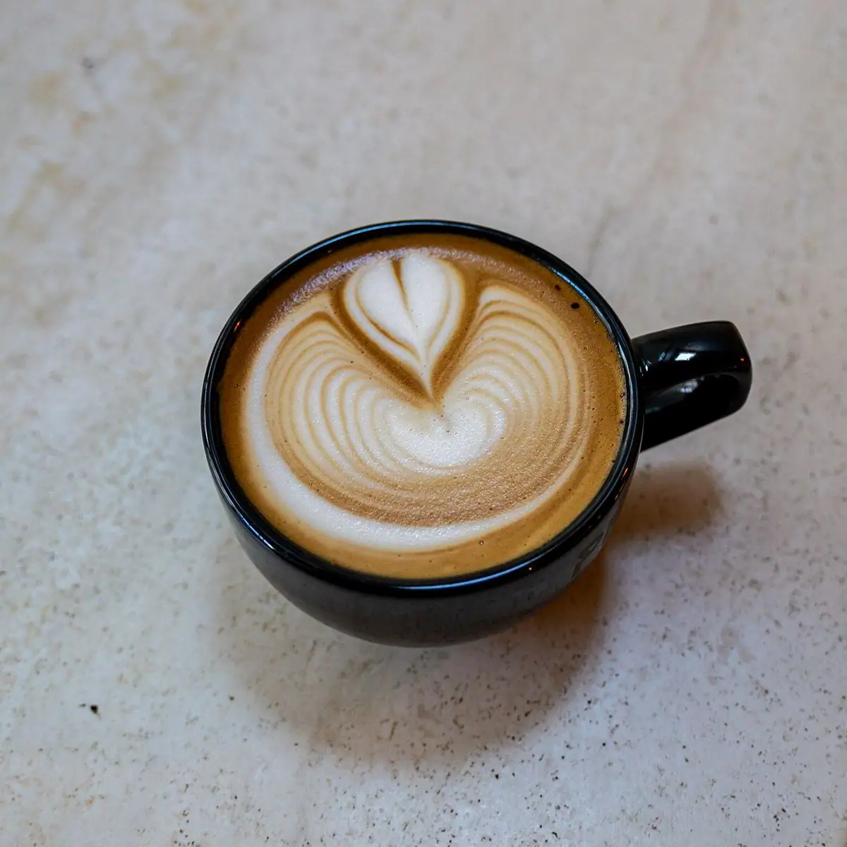 Perche Coffee Roasters (5)