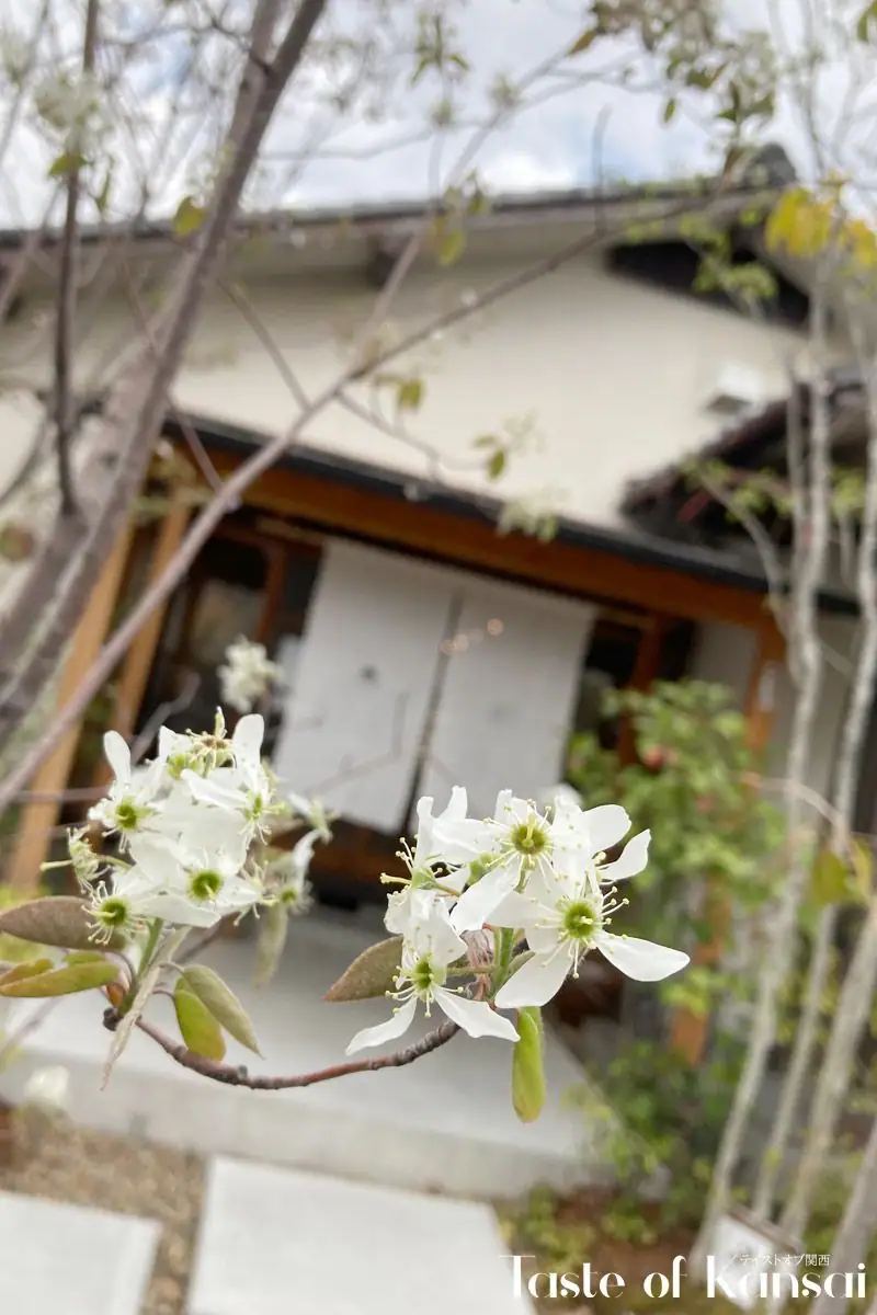 RanRan (5)