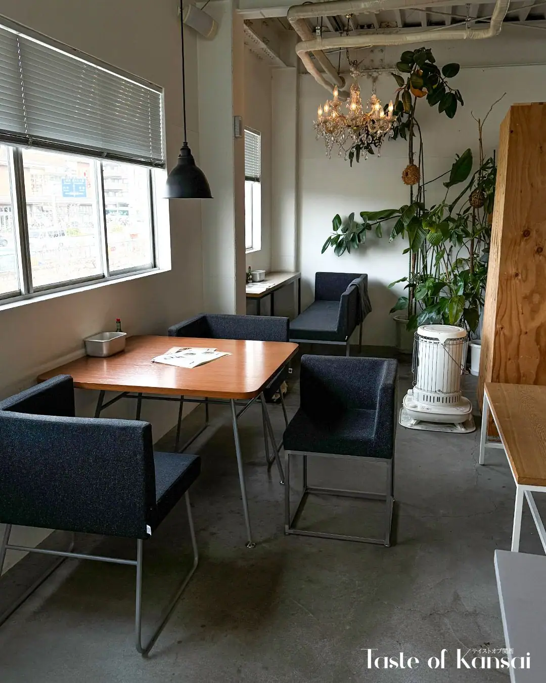 Songbird Design Store (7)