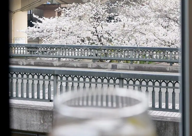 Spectacleの写真（1/2）