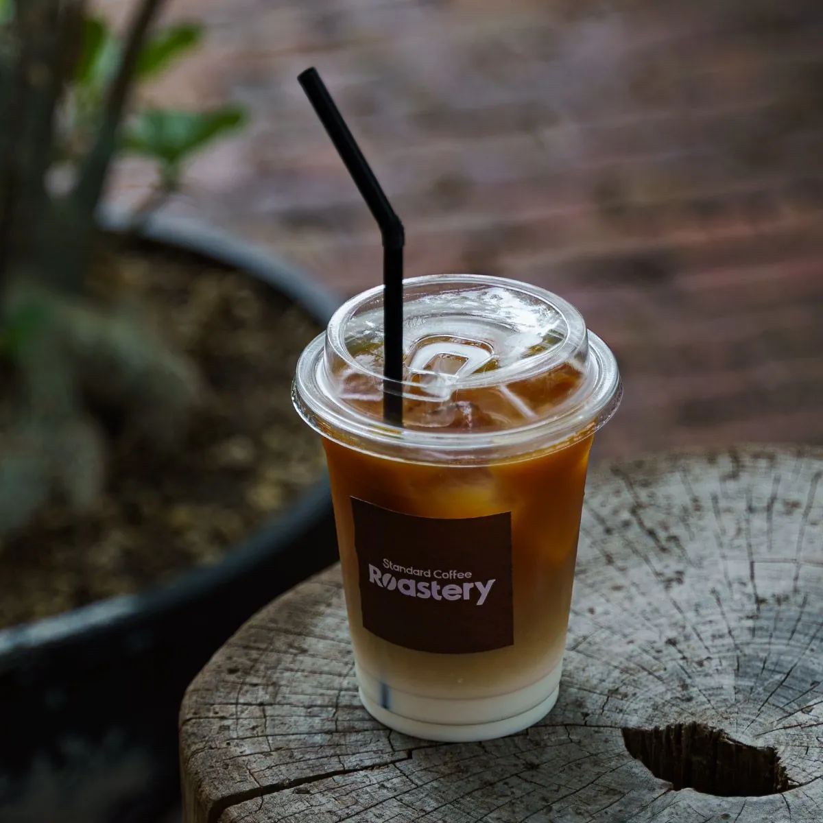 Standard Coffee Roastery