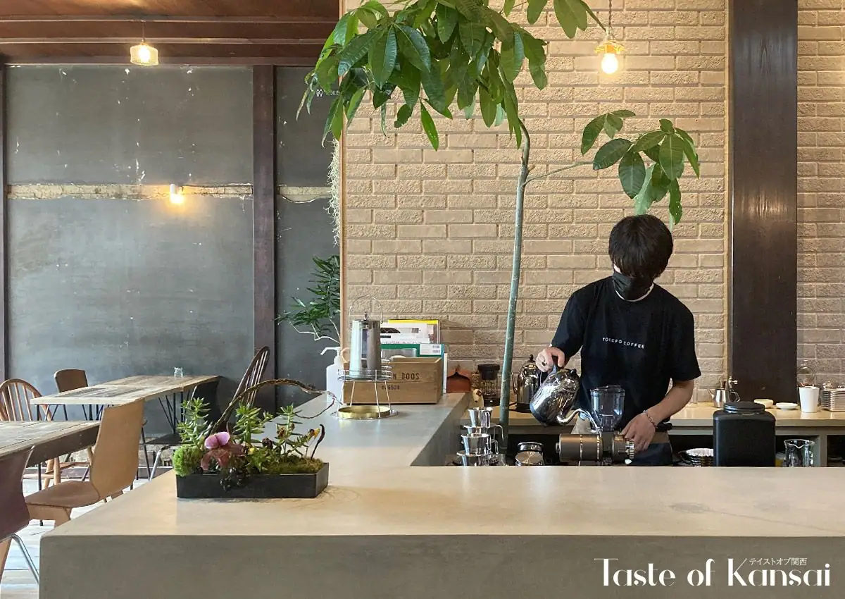 torepo coffee (11)