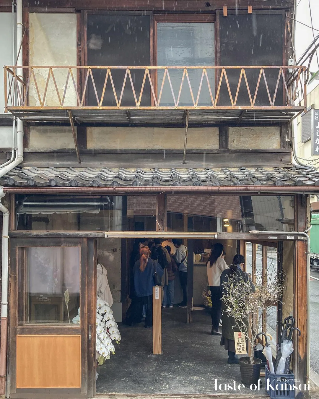 Totaro 糖太朗 (9)