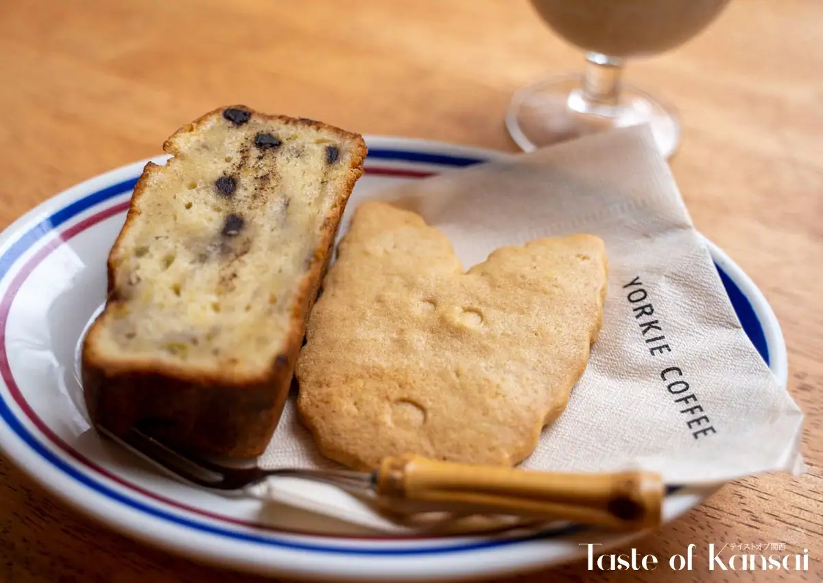 Yorkie Coffee (4)
