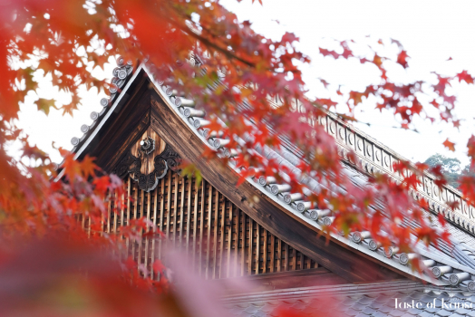 Best Autumn cafes in Kansai