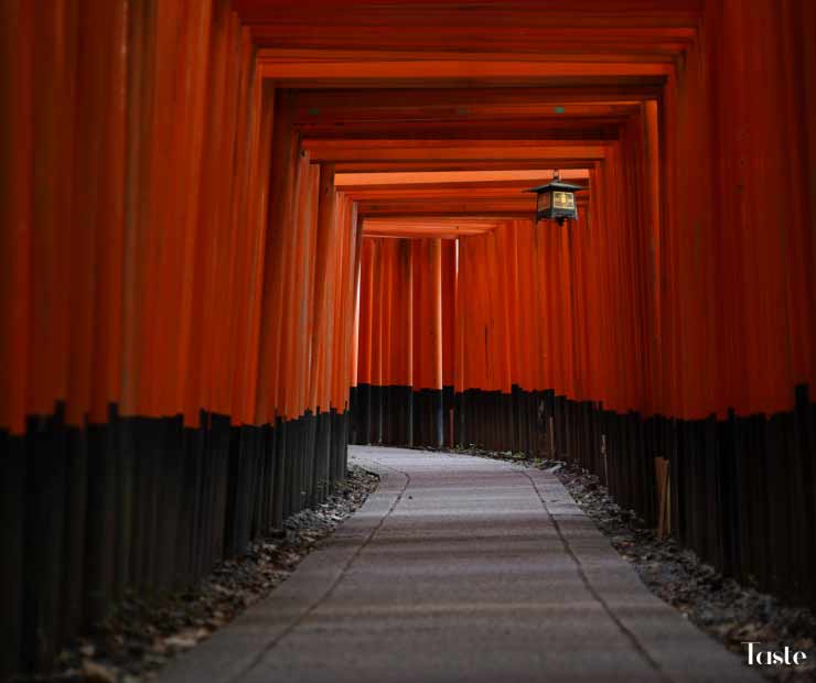Hopout #2 – Fushimi Inari, Kyoto