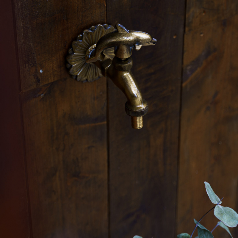 Details Image