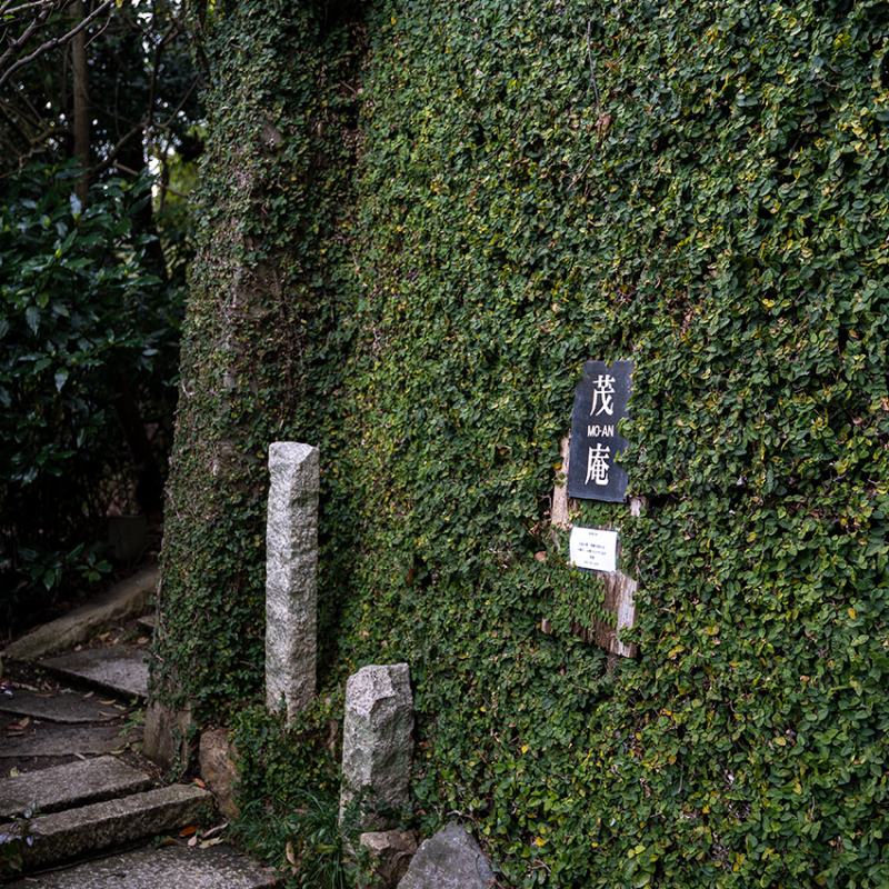 Details Image